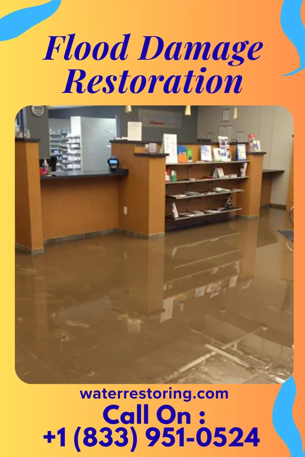 Flood Damage Restoration in Woodlynne, NJ