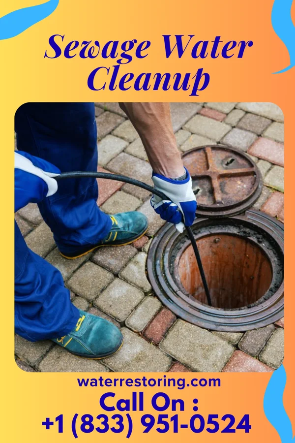 Sewage Water Cleanup in Woodlynne, NJ