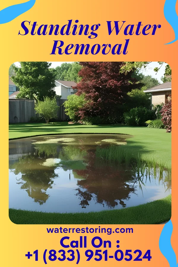 Standing Water Removal in Woodlynne, NJ